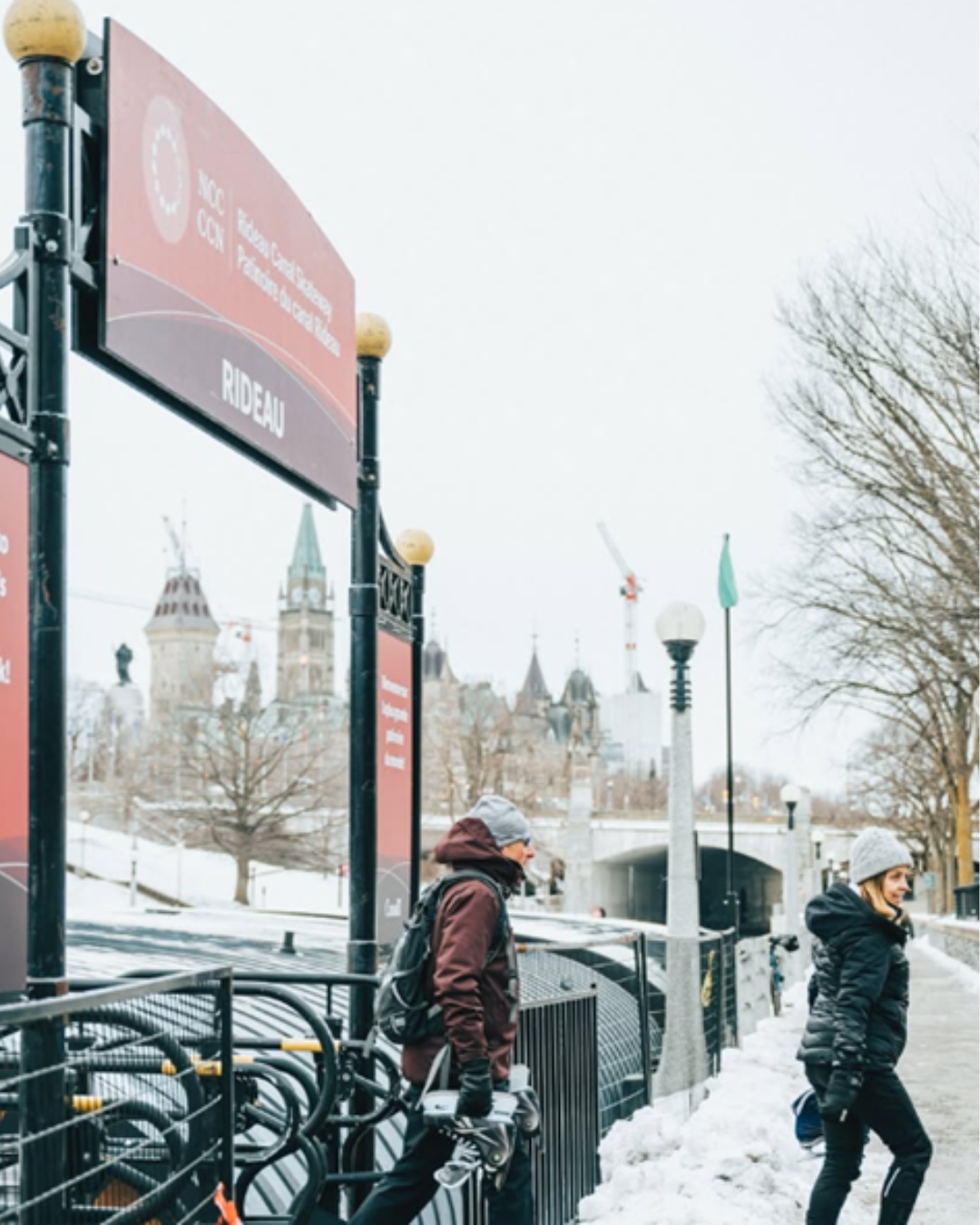 Board and governance practices